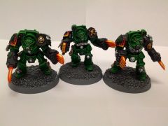 Claw Termies 5