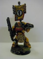Imperial Fists sergeant