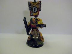 Imperial Fists sergeant