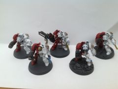 Completed first Terminator Squad