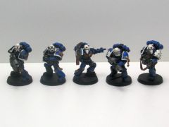 ETL II Sternguard Finished 2