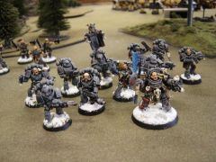 Wolf Guard Pack Leader and Fenris Hunters