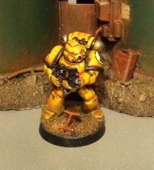 Imperial Fist wip 2