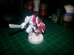 sanguinary priest