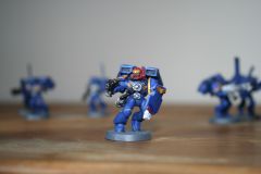 Assault Marine Sergeant with Bolt Pistol and Storm Shield