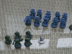 Viper Leion Tactical And Scout Squads