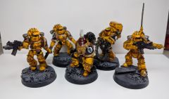 Imperial Fist Veteran Squad Complete 1