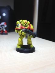 Imperial Fist