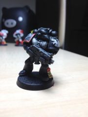 Raven Guard