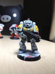 Space Wolves