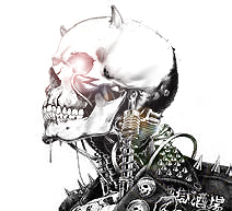 Punk Skull carapace art