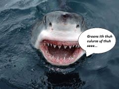 shark face   green