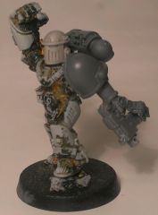 Sternguard Sarge