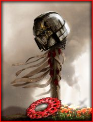 IP HELM POPPY banner V1