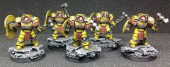 Imperial Fist Cataphractii