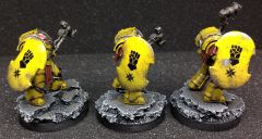 Imperial Fist Cataphractii shield detail