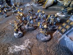 Ulric And Wolf Guard