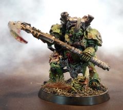 Typhus