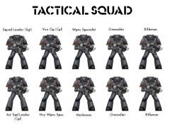 Tac squad