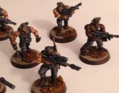 vets painted 5