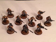 vets painted 1