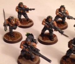 vets painted 2
