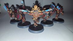 Wulfen 1