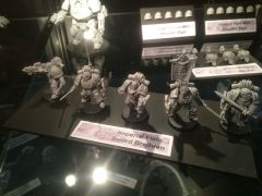 Imperial Fists preview 4