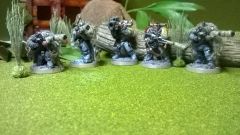 Space Wolves Snipers