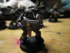 Bolter Near Complete