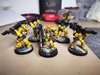 Elzender Imperial Fists