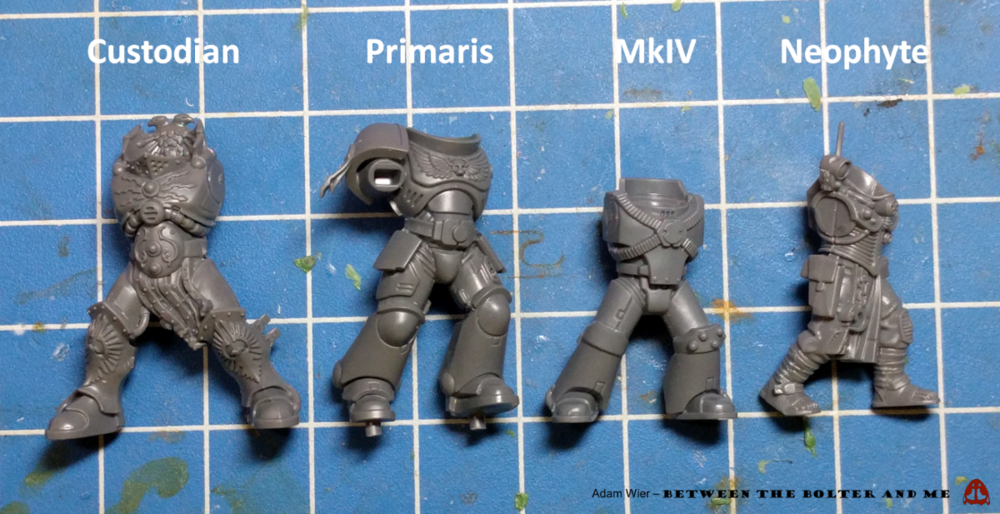 Primaris body size comparison.png