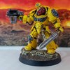 Imperial Fists & Successors