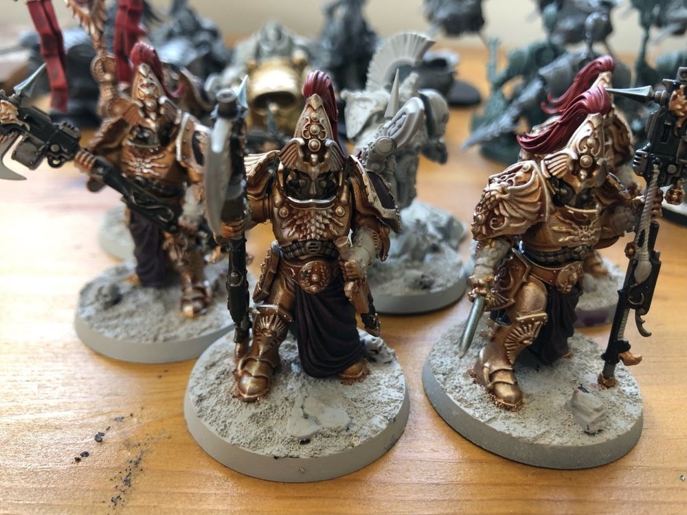 WipWardens.thumb.jpg.d8e200d720adc2f08aa84c9150d0f2b7.jpg