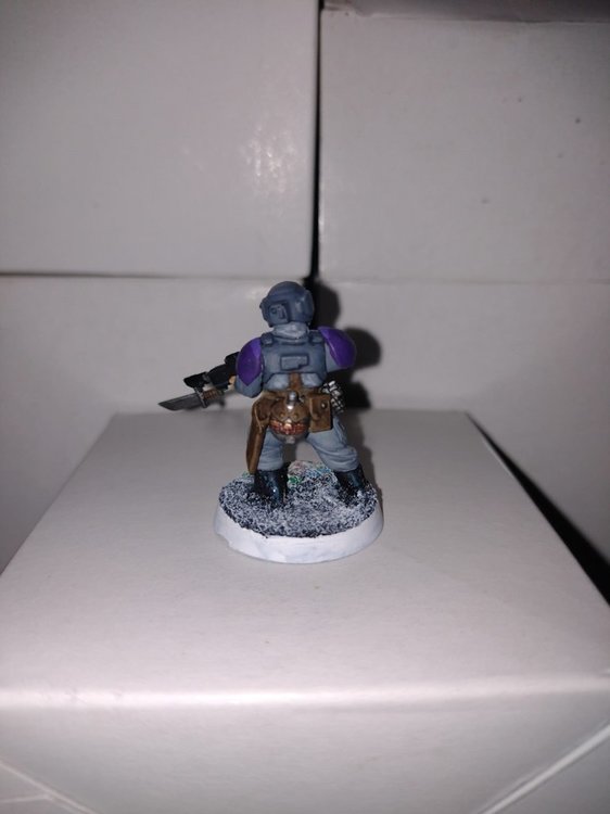 old style Cadian model, painted in grey tones with purple shoulder pads, based with a lichen field, facing rear