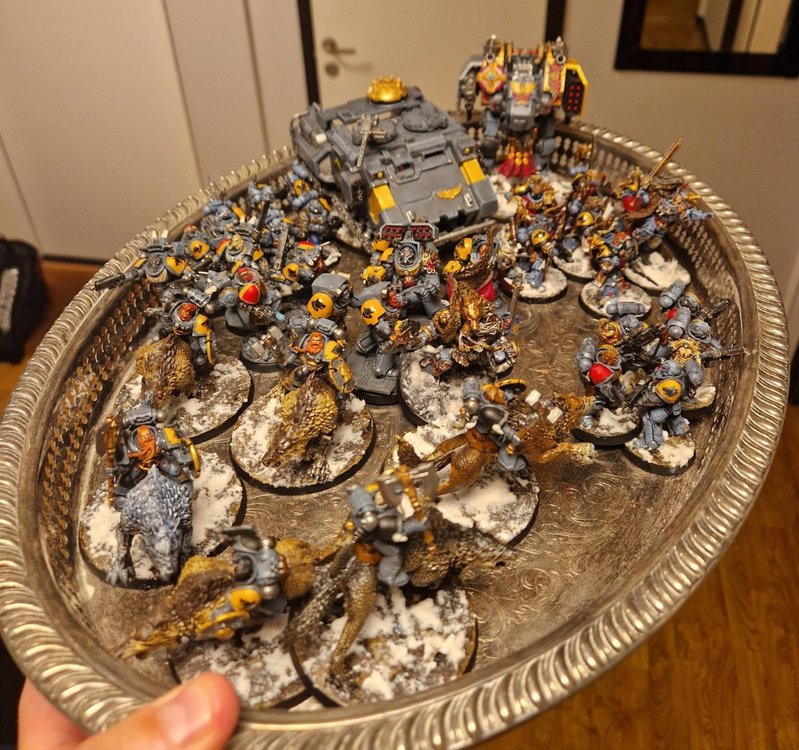 space wolves.jpeg