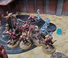 7. Beserkers Wipe Out Bloodtongue.jpg