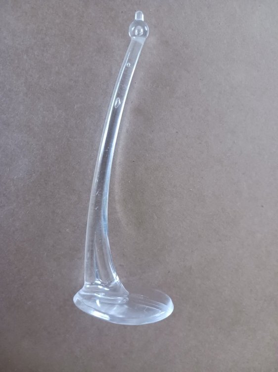 20250428_175144.jpg