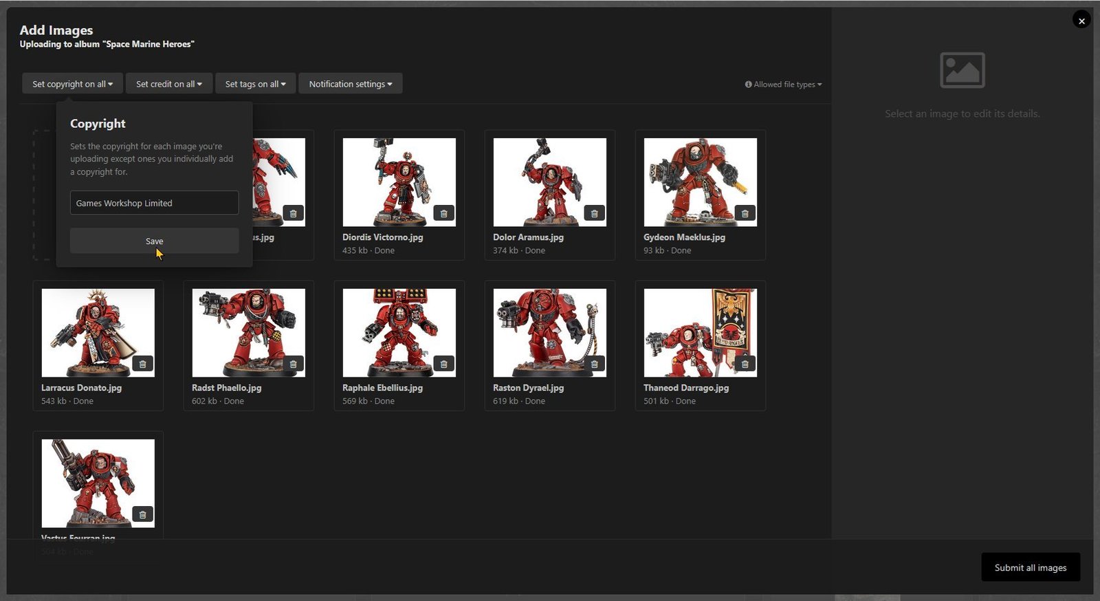 Set the copyright information, shown using dark theme