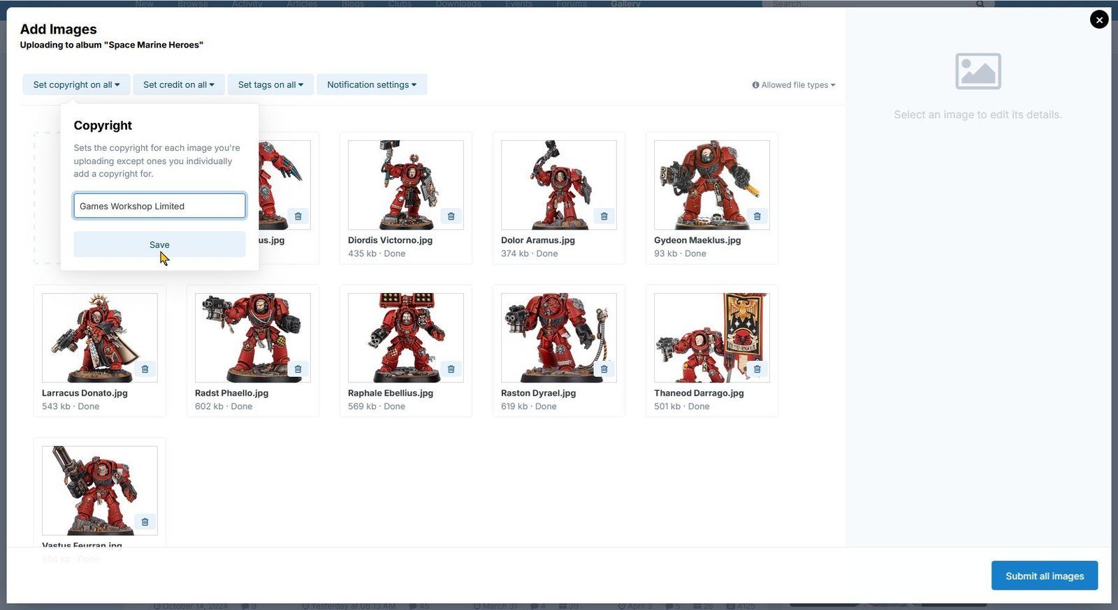 Set the copyright information, shown using light theme