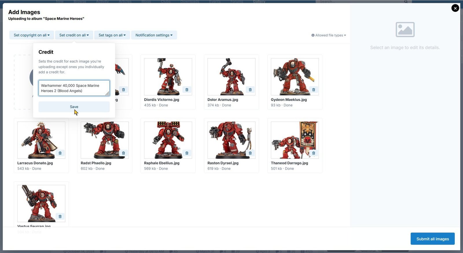 Set the image credits, shown using light theme