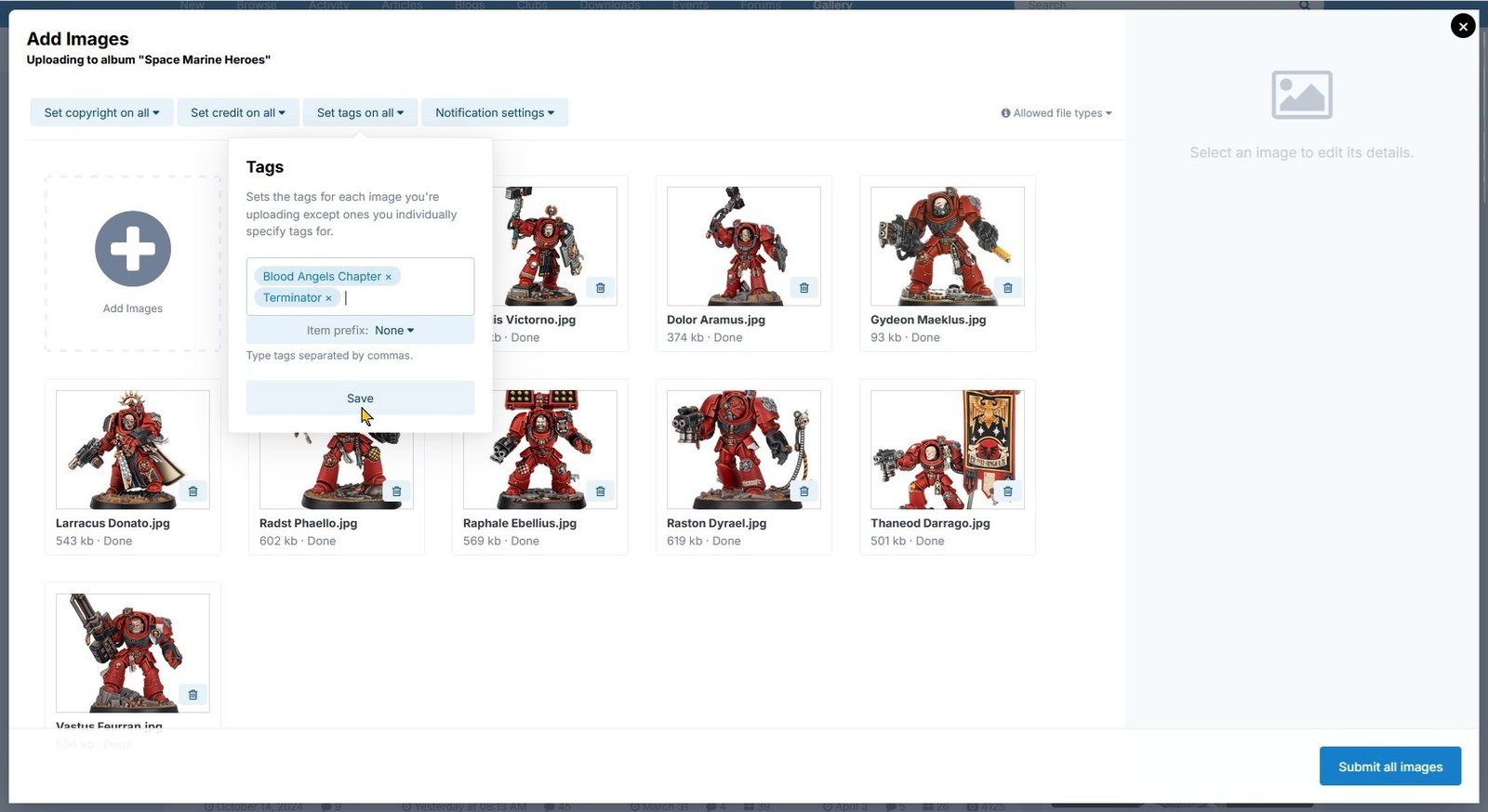 Set the image tags, shown using light theme