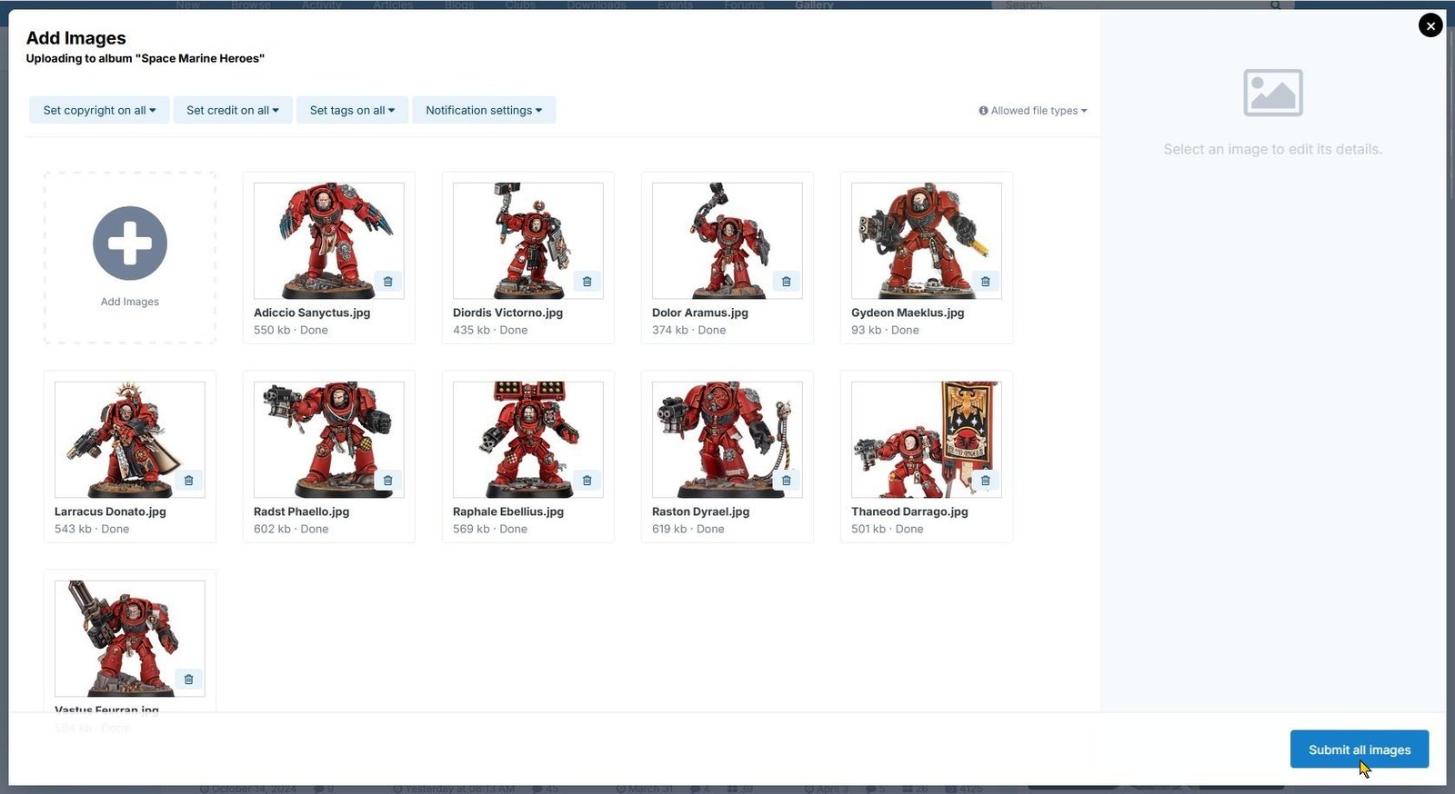 Click the Submit all images button, shown using light theme