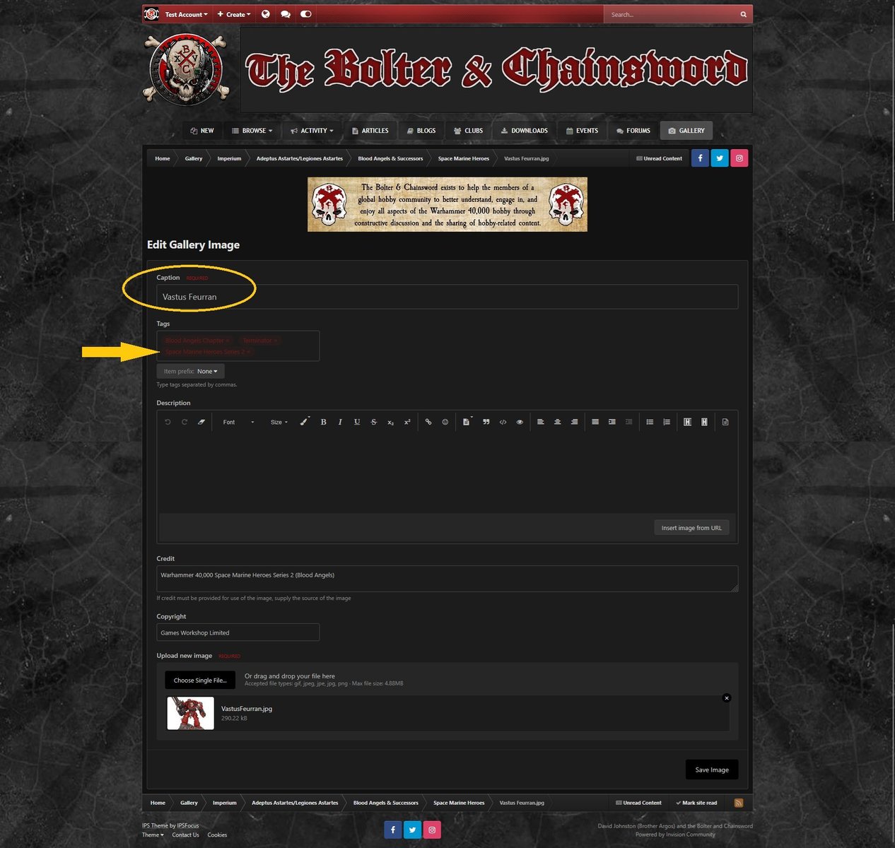 You can edit the image caption and tags, shown using dark theme.