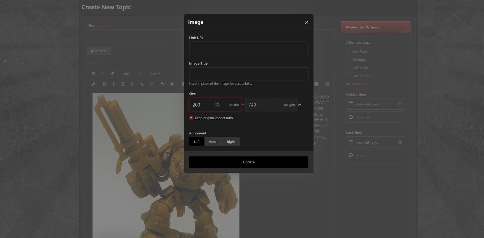 The image can be re-sized in the Image dialog box, too (shown using dark theme)