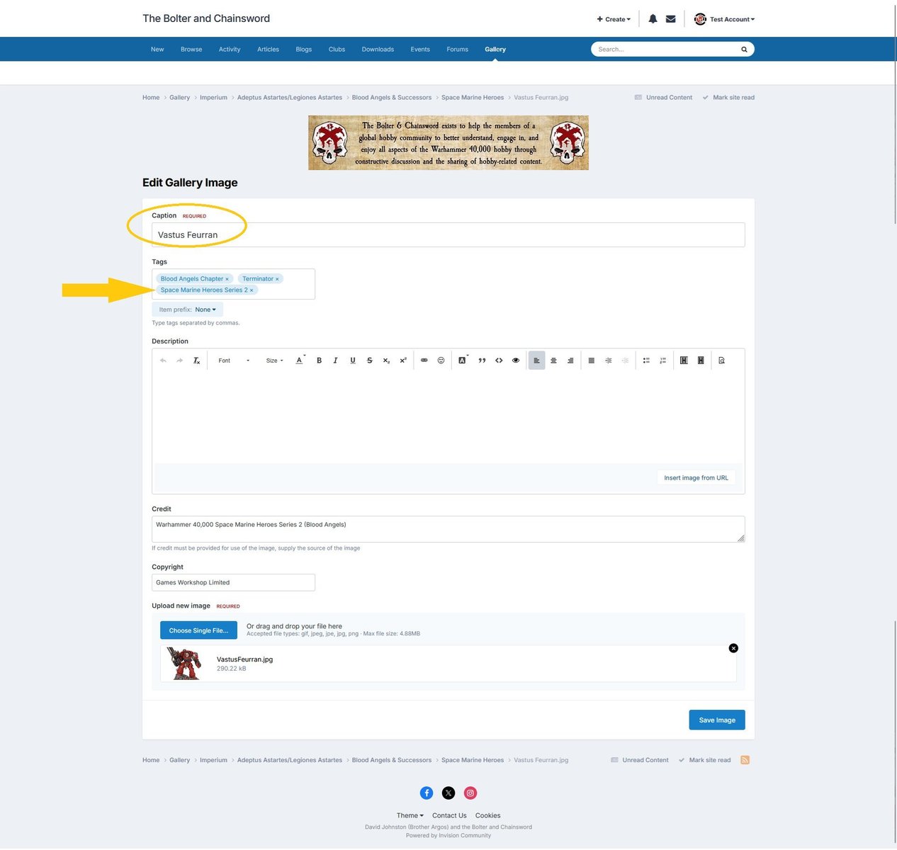 You can edit the image caption and tags, shown using light theme.