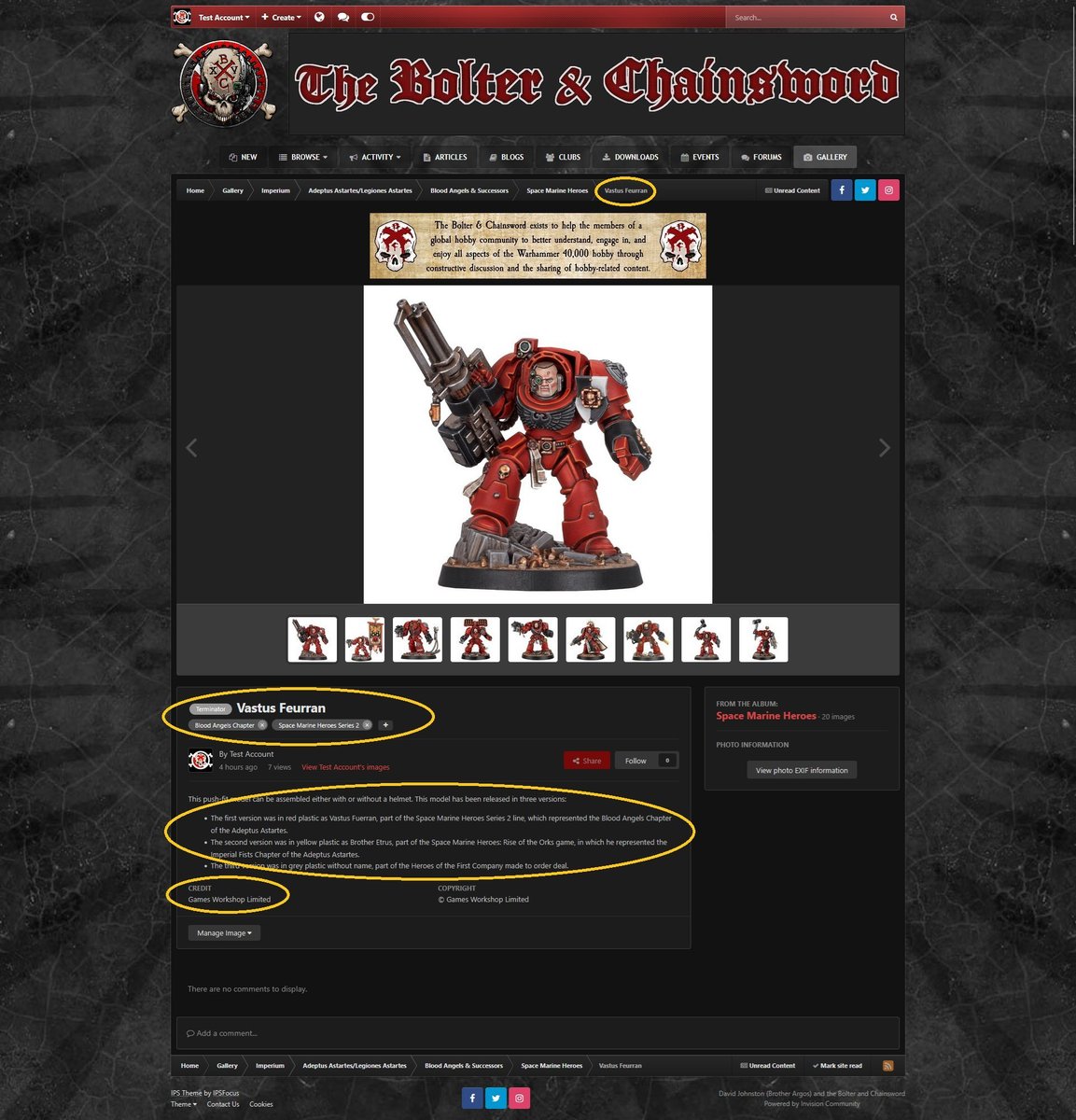 The image page shows that the image details have been updated based on the changes you made in the Edit Gallery Image page, shown using dark theme.