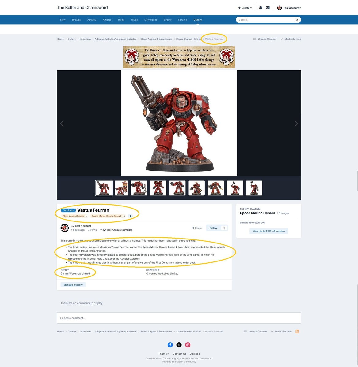 The image page shows that the image details have been updated based on the changes you made in the Edit Gallery Image page, shown using light theme.