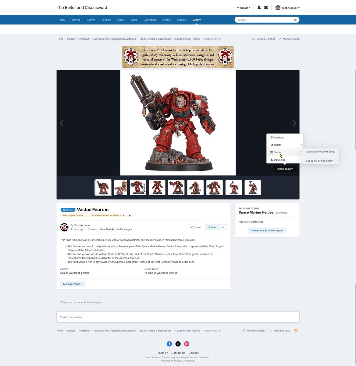 You can rotate an image, set an image to be the album cover and/or cover photo, and you can download it, shown using light theme.
