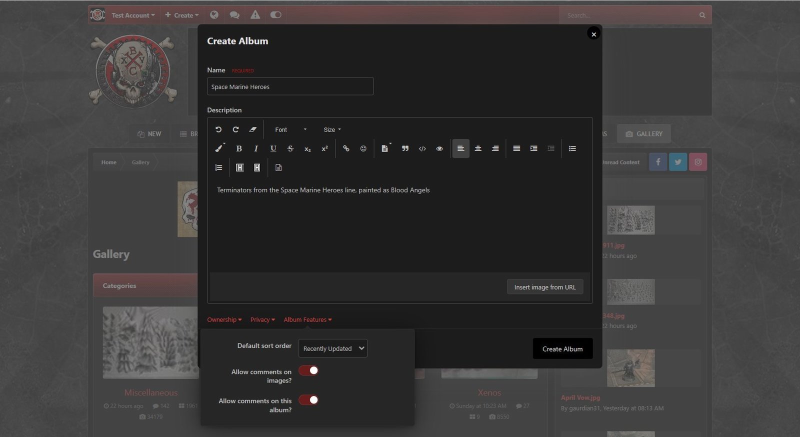Album Features options, shown using dark theme